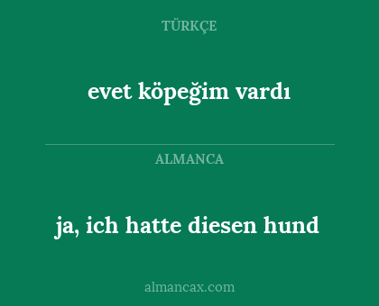 evet köpeğim vardı - ja, ich hatte diesen hund