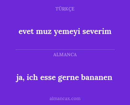 ja, ich esse gerne bananen - evet muz yemeyi severim