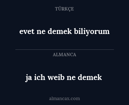 ja ich weib ne demek - evet ne demek biliyorum