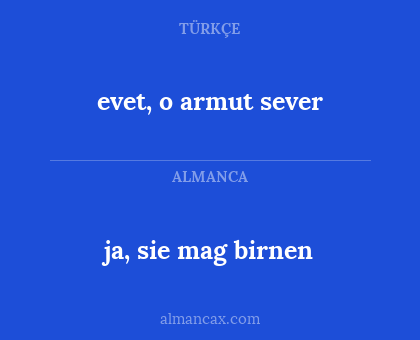 evet, o armut sever - ja, sie mag birnen