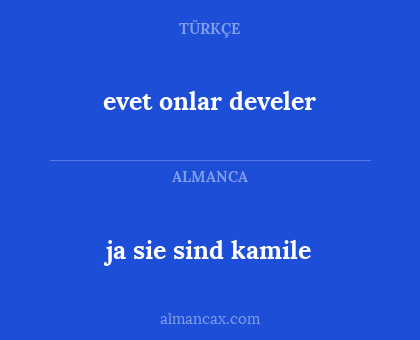 evet onlar develer - ja sie sind kamile