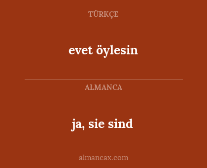 evet öylesin - ja, sie sind