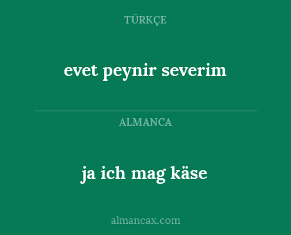 ja ich mag käse - evet peynir severim