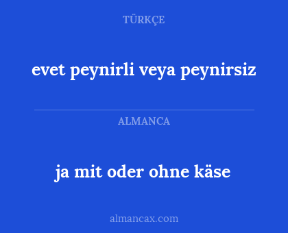 ja mit oder ohne käse - evet peynirli veya peynirsiz