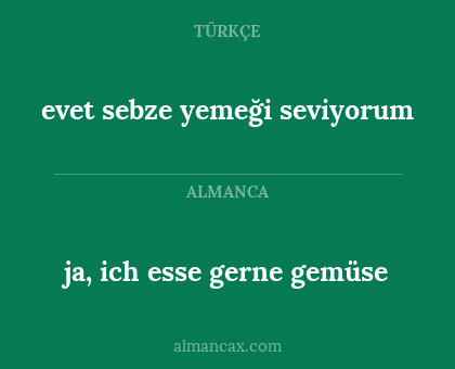 ja, ich esse gerne gemüse - evet sebze yemeği seviyorum
