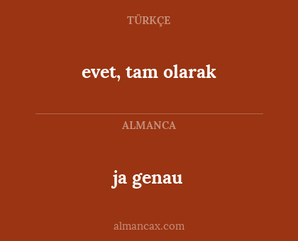 ja genau - evet, tam olarak