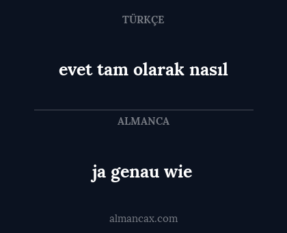 ja genau wie - evet tam olarak nasıl