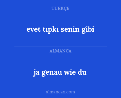 evet tıpkı senin gibi - ja genau wie du