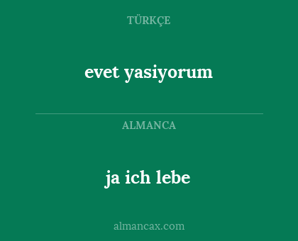 ja ich lebe - evet yasiyorum