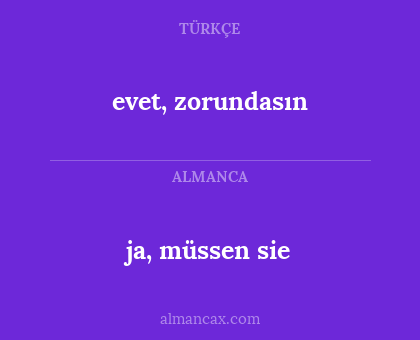 evet, zorundasın - ja, müssen sie