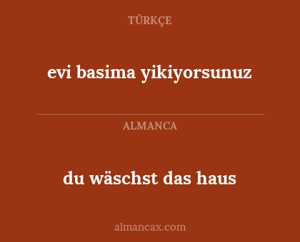 du wäschst das haus - evi basima yikiyorsunuz