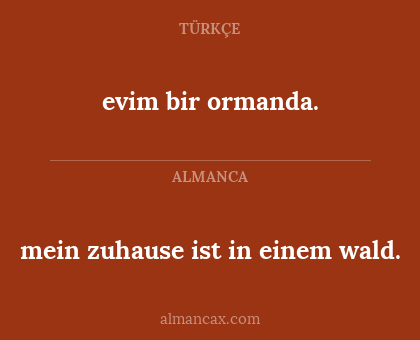 evim bir ormanda. - mein zuhause ist in einem wald.