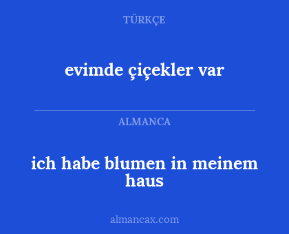 ich habe blumen in meinem haus - evimde çiçekler var