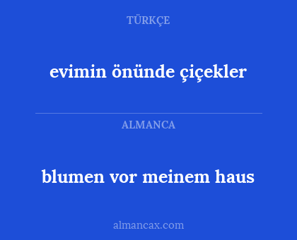 blumen vor meinem haus - evimin önünde çiçekler