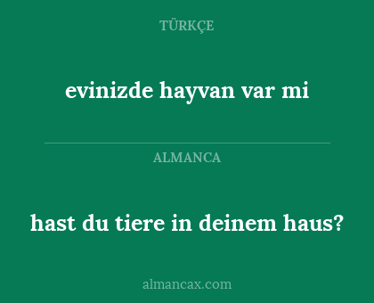 hast du tiere in deinem haus? - evinizde hayvan var mi