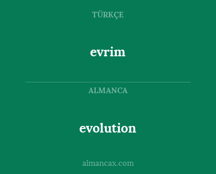 evolution - evrim