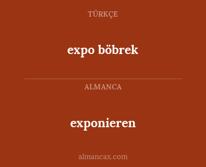 exponieren - expo böbrek