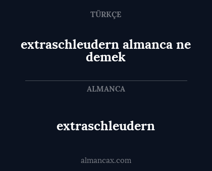 extraschleudern - extraschleudern almanca ne demek