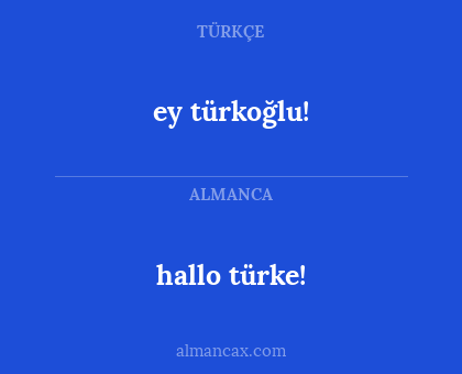 hallo türke! - ey türkoğlu!