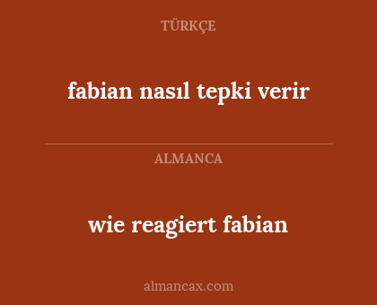 fabian nasıl tepki verir - wie reagiert fabian