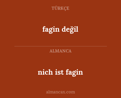 fagin değil - nich ist fagin
