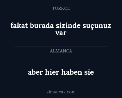 aber hier haben sie - fakat burada sizinde suçunuz var