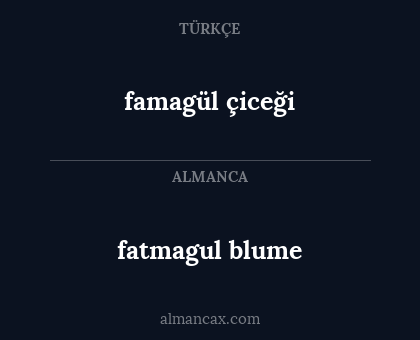 famagül çiceği - fatmagul blume