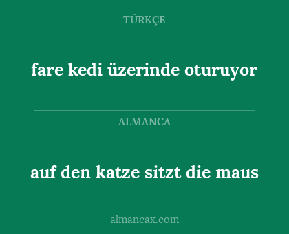 fare kedi üzerinde oturuyor - auf den katze sitzt die maus