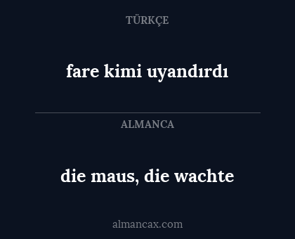 fare kimi uyandırdı - die maus, die wachte