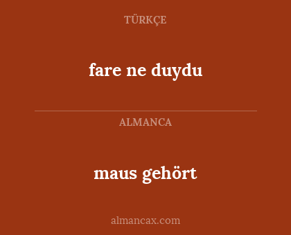 maus gehört - fare ne duydu