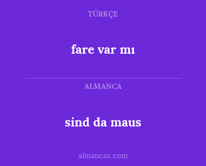 sind da maus - fare var mı