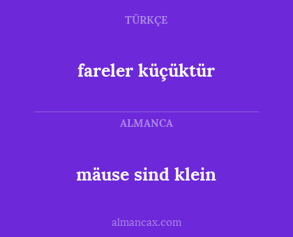 fareler küçüktür - mäuse sind klein
