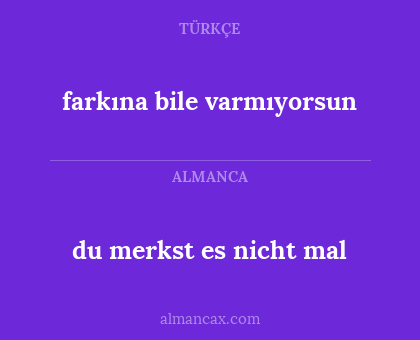 farkına bile varmıyorsun - du merkst es nicht mal