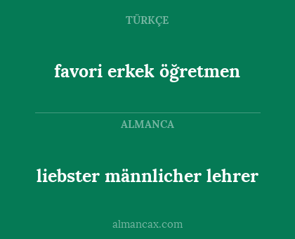 liebster männlicher lehrer - favori erkek öğretmen