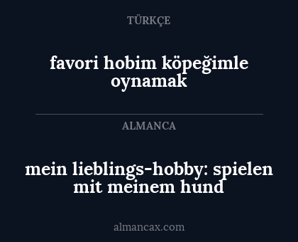 favori hobim köpeğimle oynamak - mein lieblings-hobby: spielen mit meinem hund