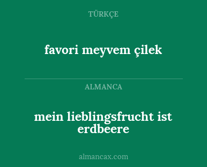 mein lieblingsfrucht ist erdbeere - favori meyvem çilek