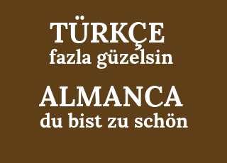 fazla+g%C3%BCzelsin-du+bist+zu+sch%C3%B6n.png