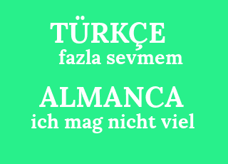 fazla+sevmem-ich+mag+nicht+viel.png