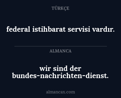 federal istihbarat servisi vardır. - wir sind der bundesnachrichtendienst.