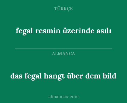 fegal resmin üzerinde asılı - das fegal hangt über dem bild