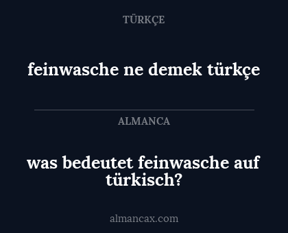 feinwasche ne demek türkçe - was bedeutet feinwasche auf türkisch?