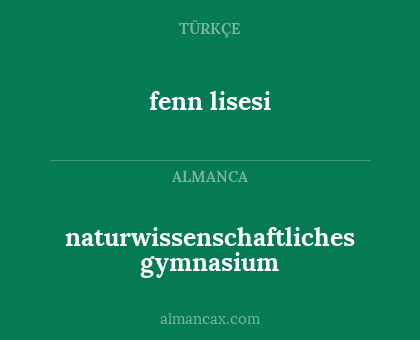 fenn lisesi - naturwissenschaftliches gymnasium