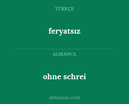 ohne schrei - feryatsız