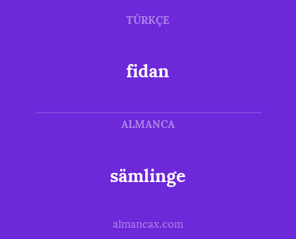 sämlinge - fidan