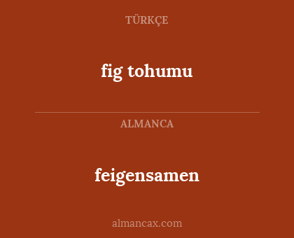 feigensamen - fig tohumu