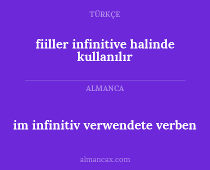 fiiller infinitive halinde kullanılır - im infinitiv verwendete verben