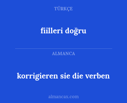 fiilleri doğru - korrigieren sie die verben
