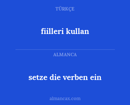 fiilleri kullan - setze die verben ein