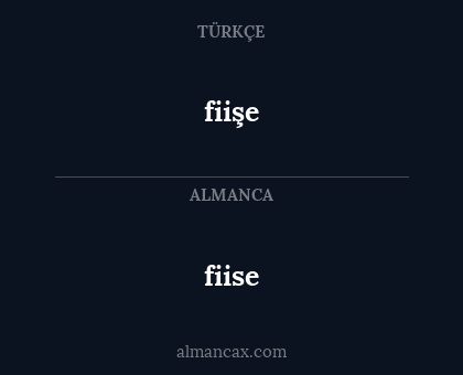 fiise - fiişe