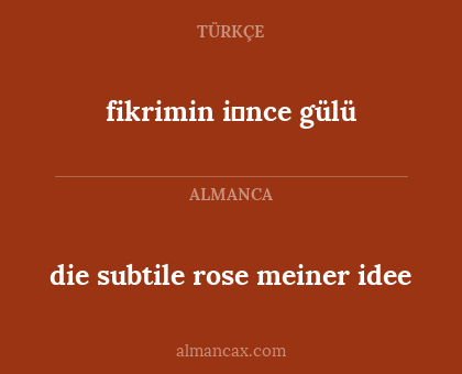die subtile rose meiner idee - fikrimin i̇nce gülü